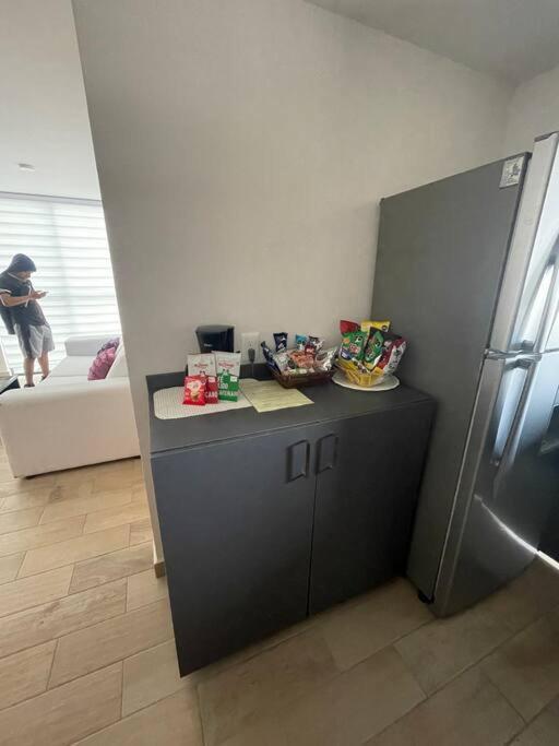Apartment Departamento Cerca Aeropuerto, Foro Gnp, Autodromo *