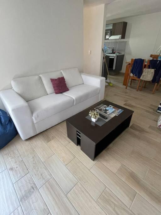 Departamento Cerca Aeropuerto, Foro Gnp, Autodromo Apartment Mexico City